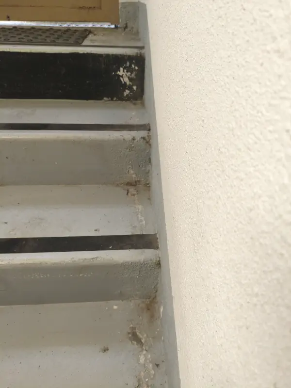 Dégâts liés à l'infiltration de l'eau de pluie sur l'escalier intérieur